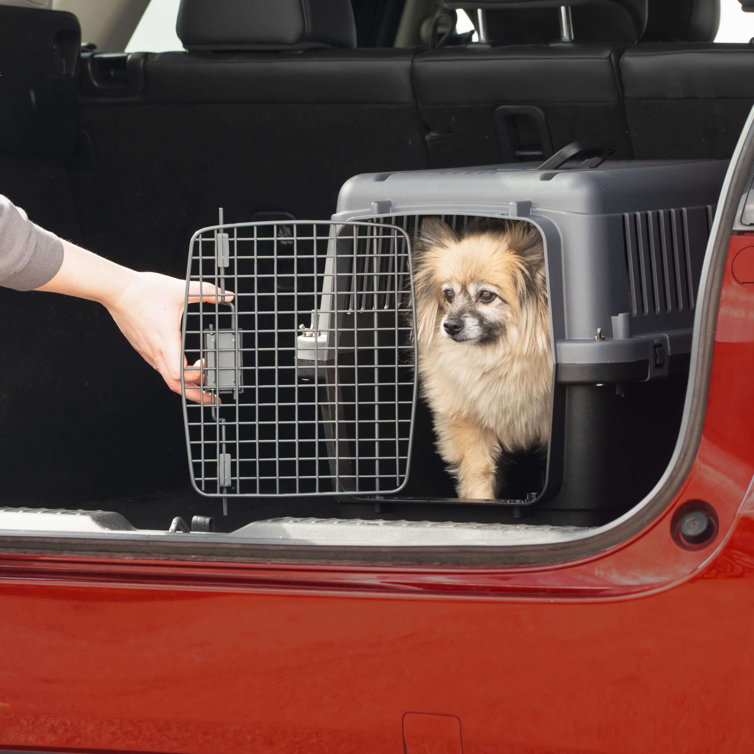 Hatchback Car Boot Car Travel Crates For Dogs Beagle Dog Cage