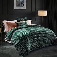 Vista 52 de RECYCO Juego de edredón de lujo de terciopelo tamaño Queen, juego de edredón de terciopelo ligero, juego de ropa de cama acolchada de tamaño grande