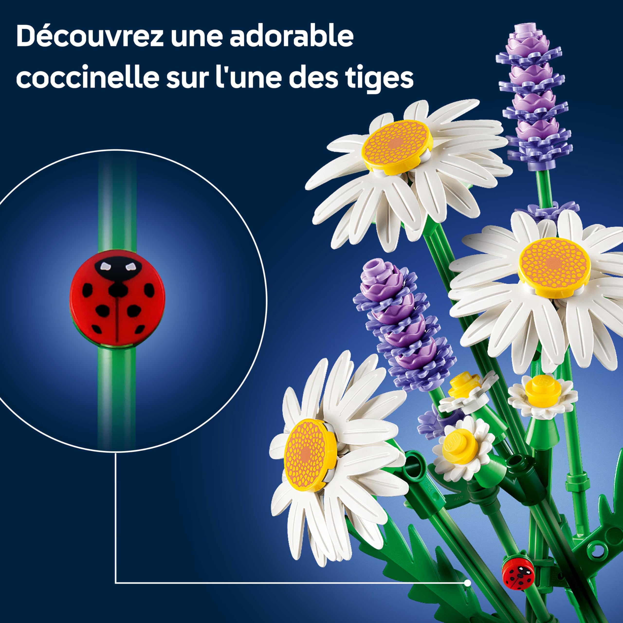 LEGO Botanicals Marguerites - Bouquet de Fleurs Artificielles - Marguerites & Lavande - Décoration Chambre d'enfant DIY - Cadeau d'anniversaire pour Fille 9 Ans ou Adulte Passionné.e de Plantes 11508