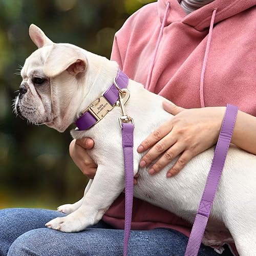 Miniatura 31 de PET ARTIST Collar de perro de nailon y piel sintética de color sólido suave, elegante collar básico personalizado para perros lindos, hebilla