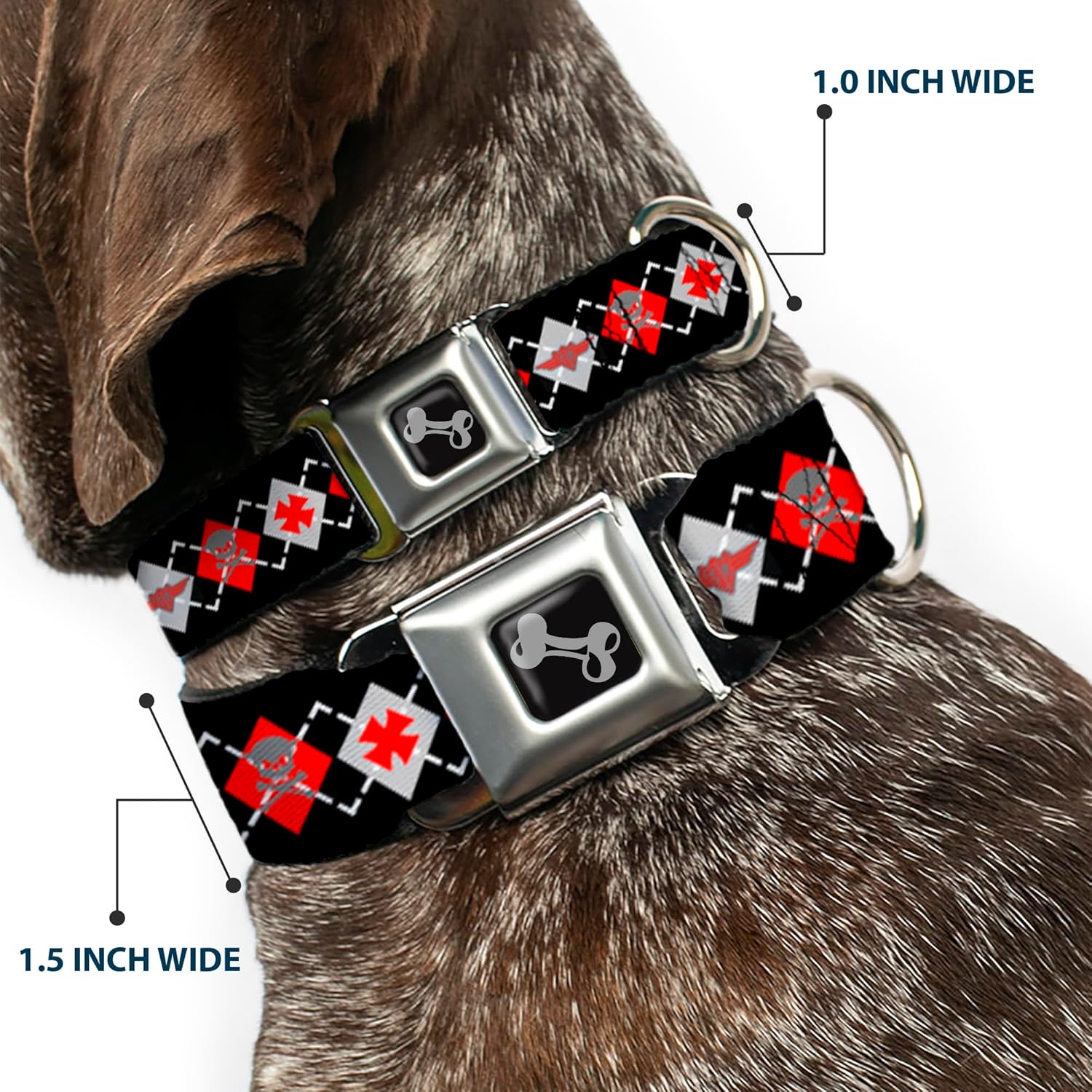 Buckle-Down Seatbelt Buckle Dog Collar - BD Argyle Black/Red/Gray - 1" Wide - Fits 15-26" Neck - Large