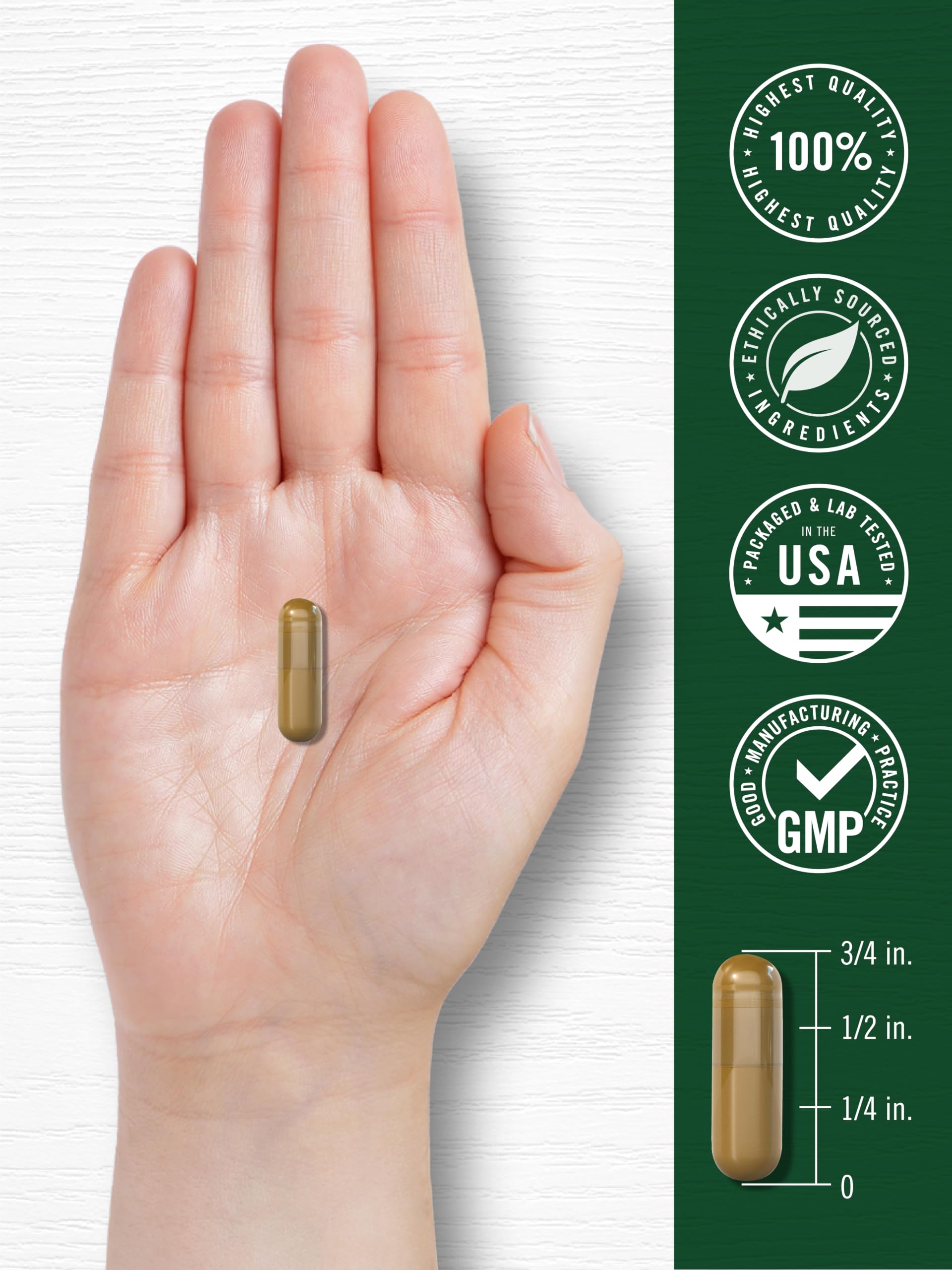 Carlyle Ceylon Cinnamon Complex with Gymnema and Mulberry | 150 Capsules — Amazon image 7