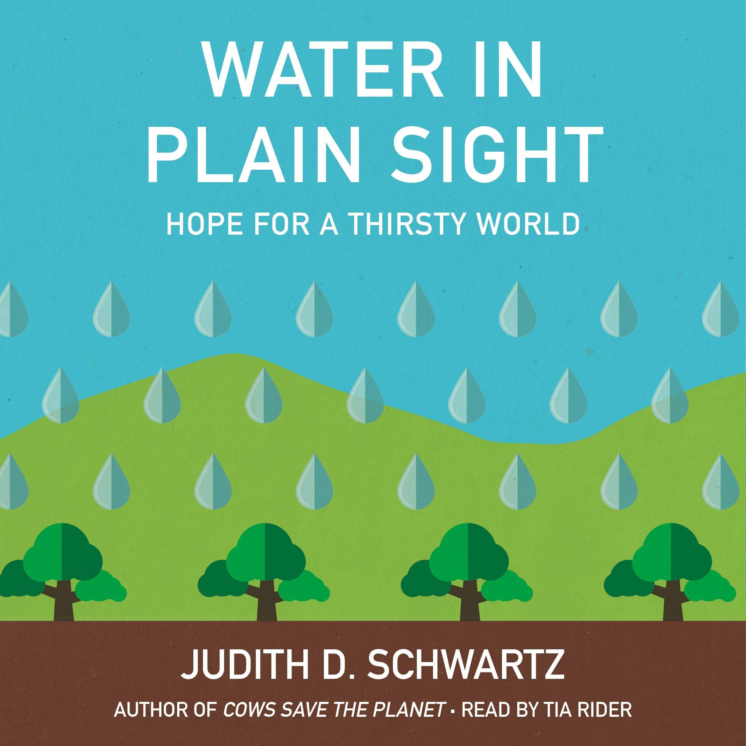 Cover art for Water in Plain Sight