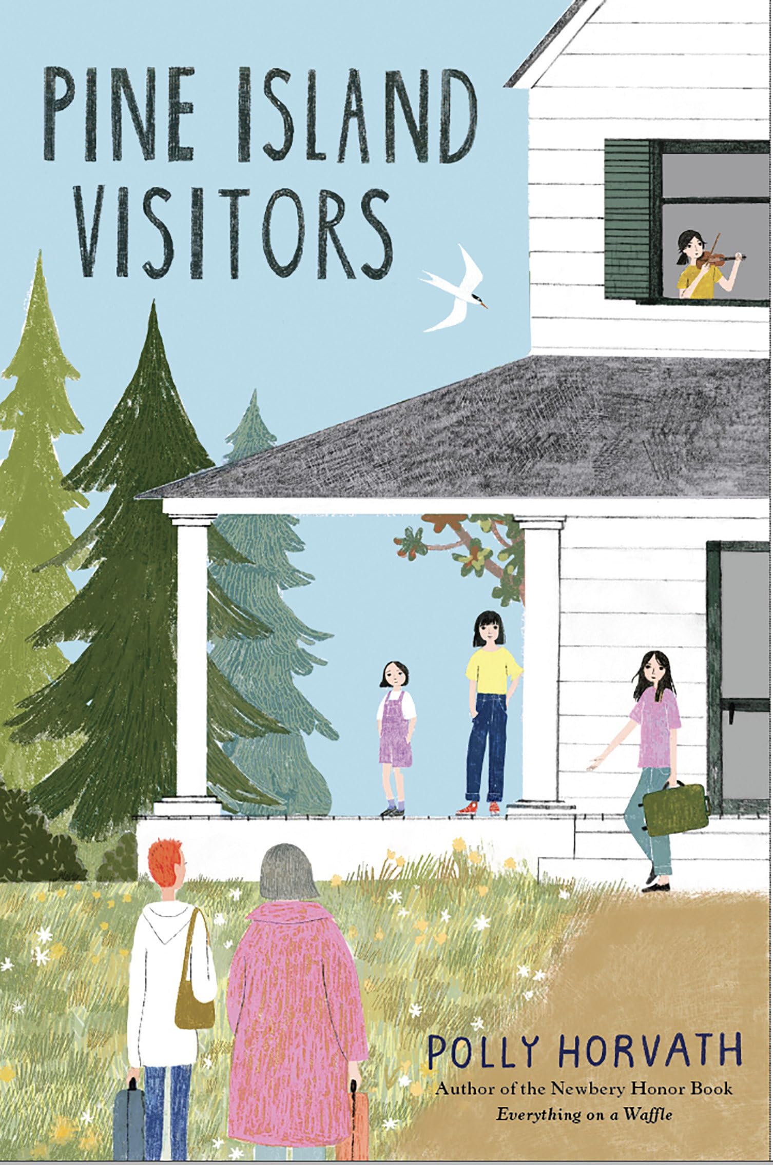 Buy Pine Island Visitors — BookShops.in
