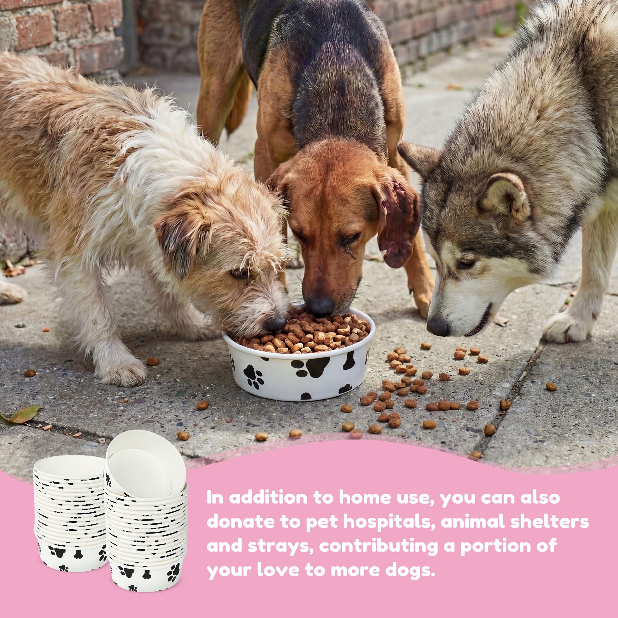 Jednorazowe miski dla zwierząt, białe pogrubione papierowe miski na karmę dla zwierząt domowych z uroczym wzorem, odpowiednie do mokrej i suchej karmy, szczeniaka, kotek (100-pak)