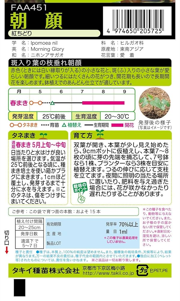 Amazon | タキイ種苗 朝顔 紅ちどり | 花