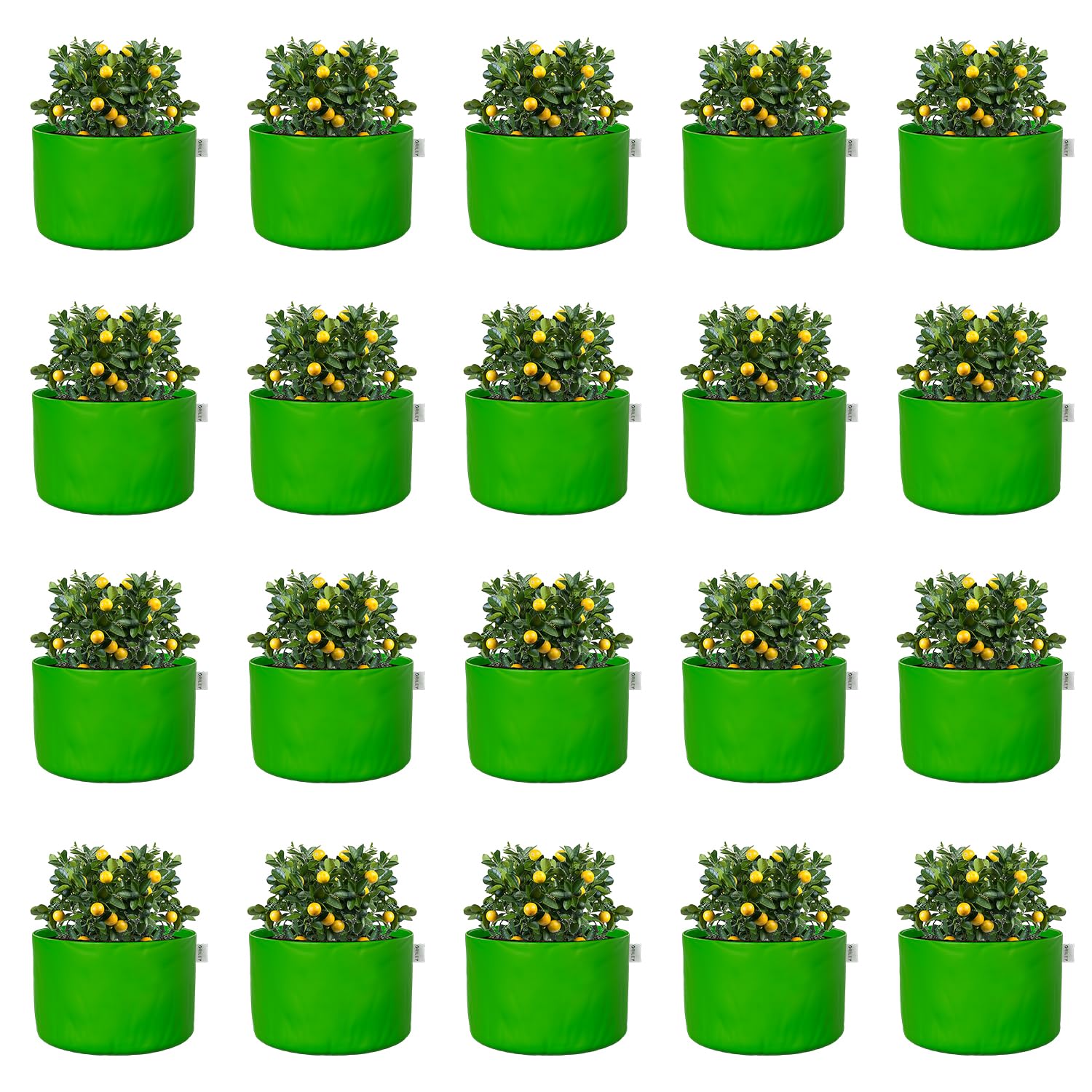 ORILEY Grow Bags - 2 Pack for Healthy Plants -13 ORILEY Grow Bags - 2 Pack for Healthy Plants -13