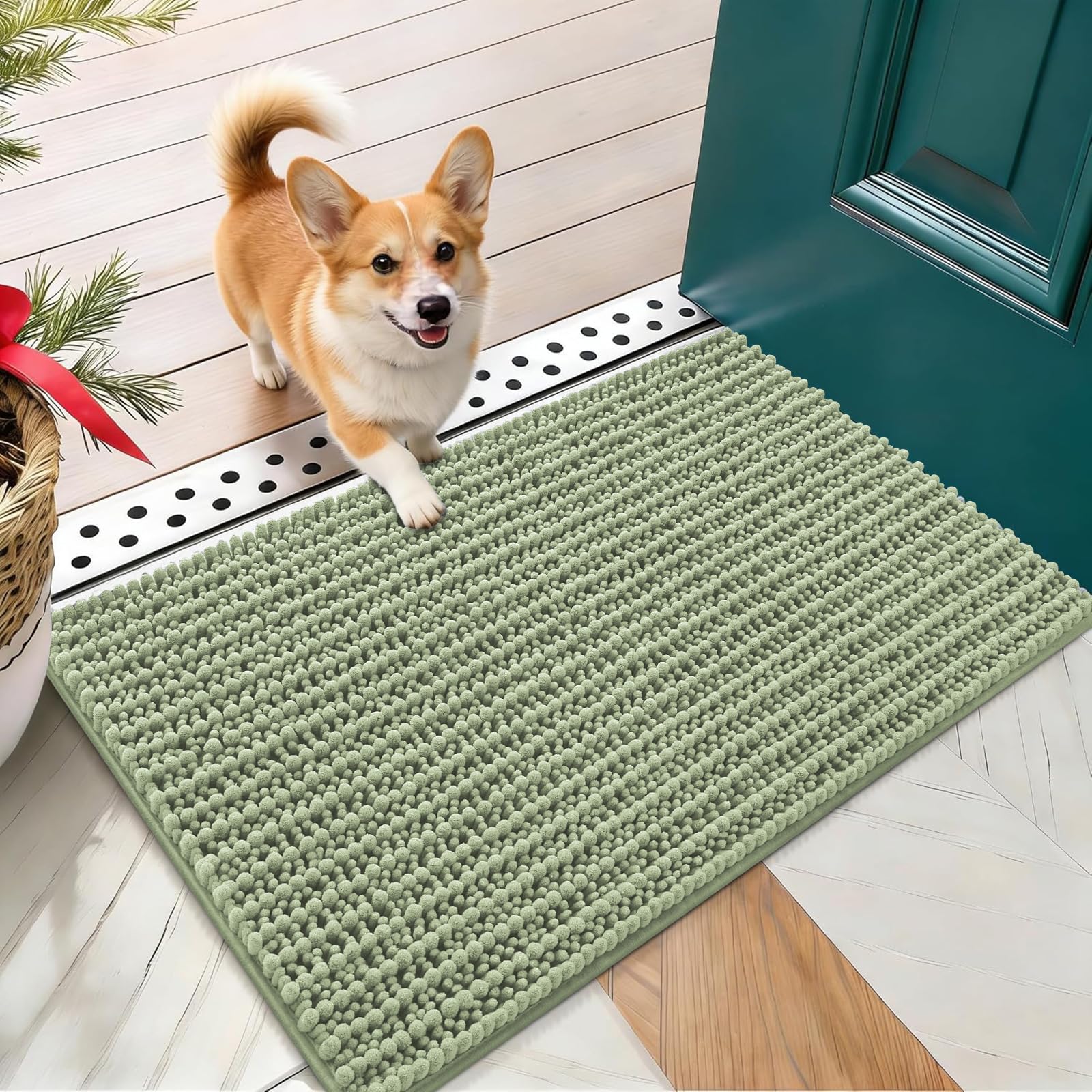 OLANLY Dog Door Mat for Muddy Paws 24x16, Ultra-Absorbent Chenille Mud Mat
