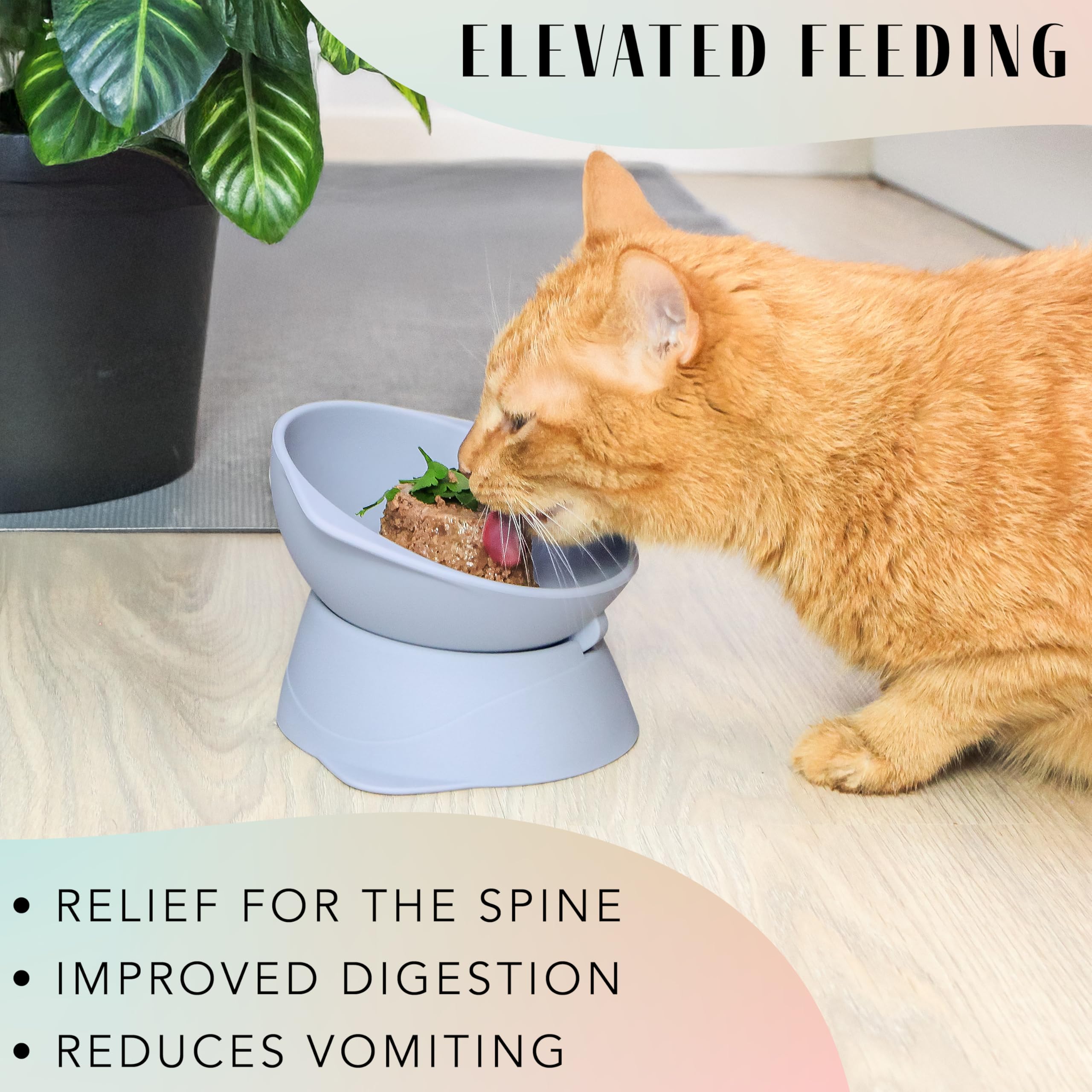 ne&no® Silicone Cat Bowl Raised with Adjustable Tilt, Steel blue - Image 3