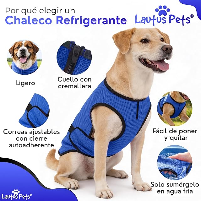 Foto 4 de 7 de Chaleco Refrigerante para Perros - Chaqueta Ligera con Cremallera y Cierre Ajustable