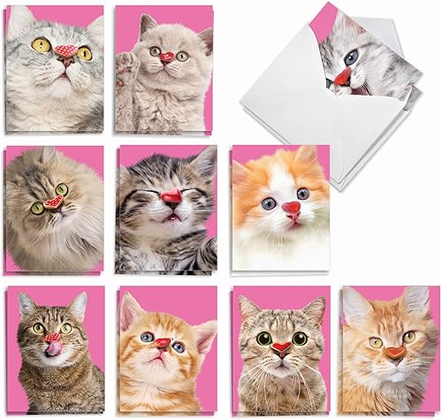 The Best Card Company - 20 tarjetas de notas para el día de San Valentín en caja surtidas con sobres (4 x 5.12 pulgadas) - Heart Cats AM9266VDG-B2x10