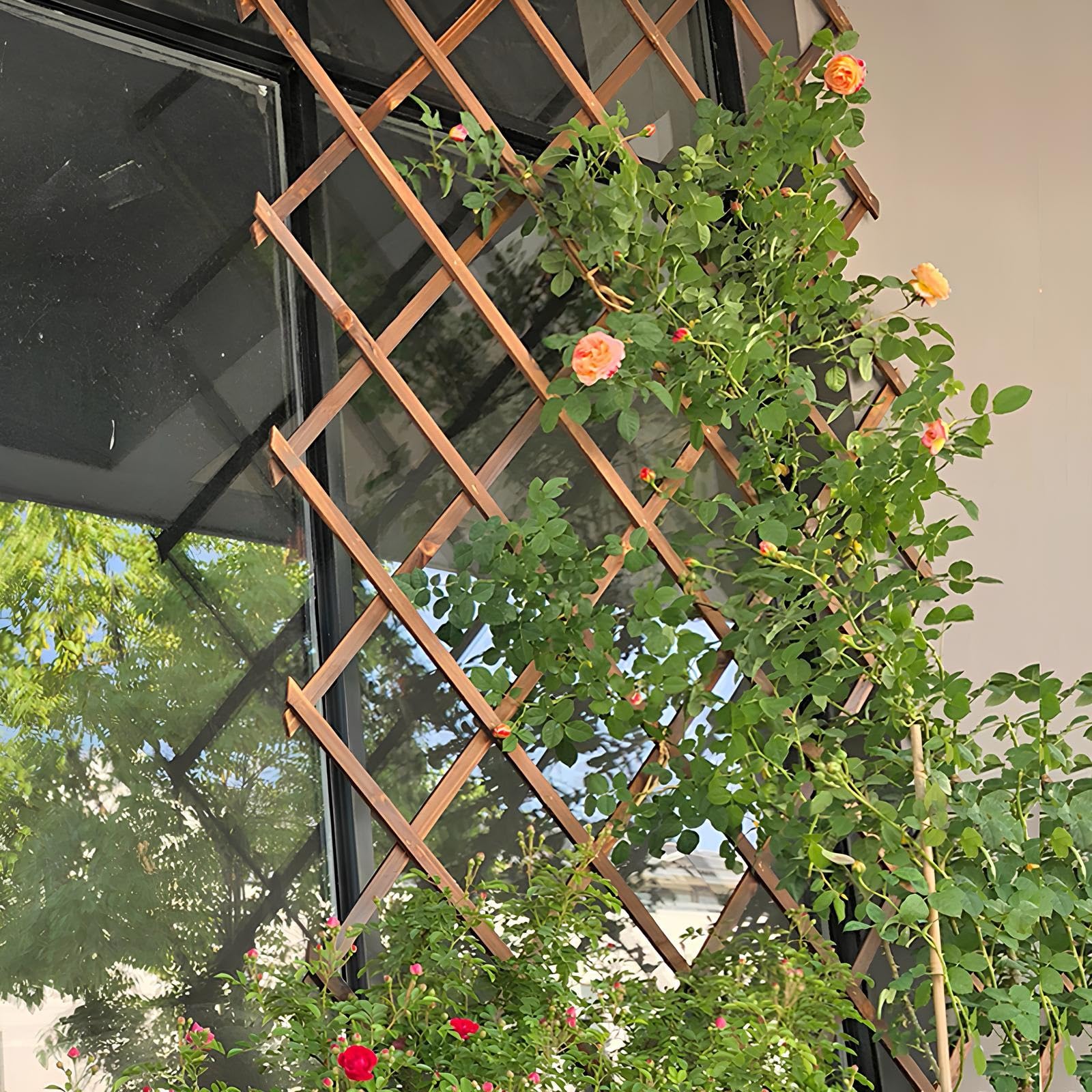 Enrejado De Jardín Expandible,Ayuda para Plantas Trepadoras Valla De Celosía De Madera, Paneles De Celosía para Exteriores para Vid Hiedra Pepinos Rosas(82 * 26cm)