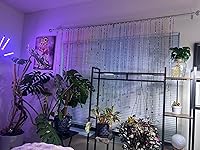 Review Image by Daulan McCord Daulan McCord