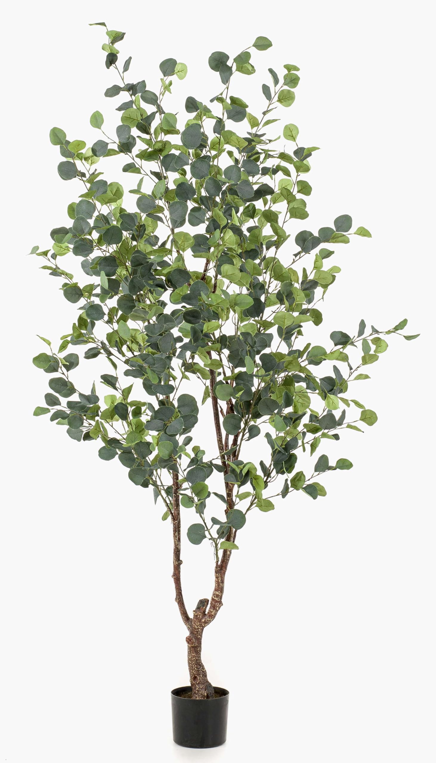 artplants.de Sztuczne drzewo Eukaliptus ANUHEA, zielono-szary, 180 cm