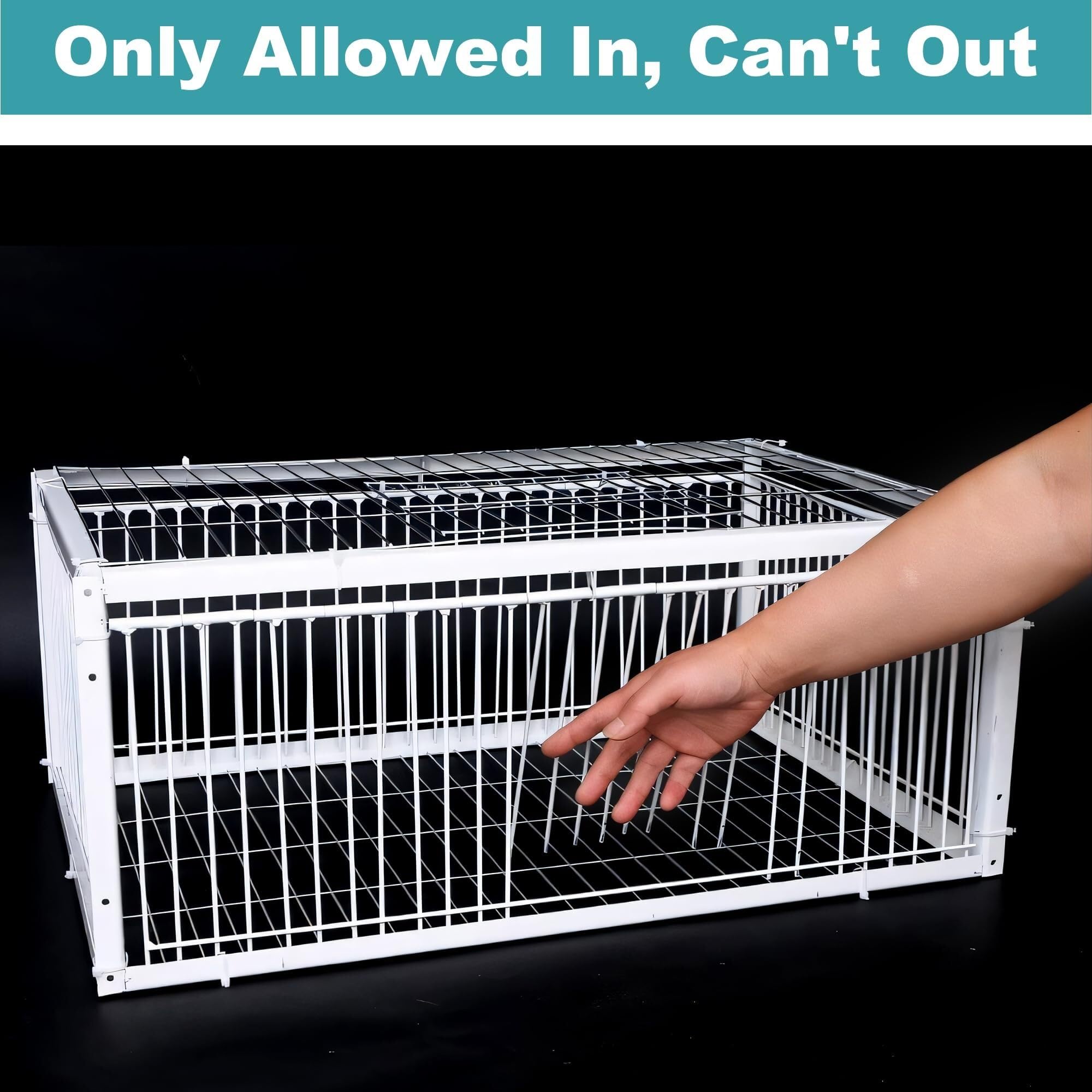 AutoTrap - Jaula para pájaros, solo entrada, sin salida, trampa para palomas con diseño a prueba de escapes, trampas para pájaros pequeños vivos, puerta de trampa para palomas, jaula de trampa para