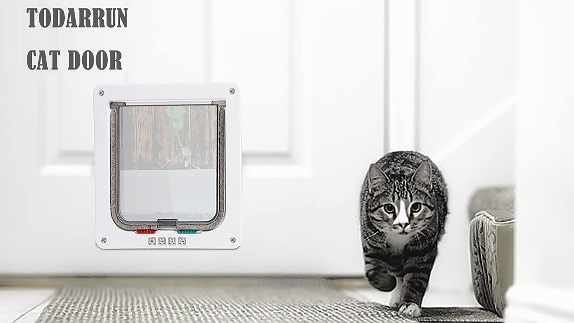 Cat Door Wordcam Medium Flap, Way Locking For Interior Exterior