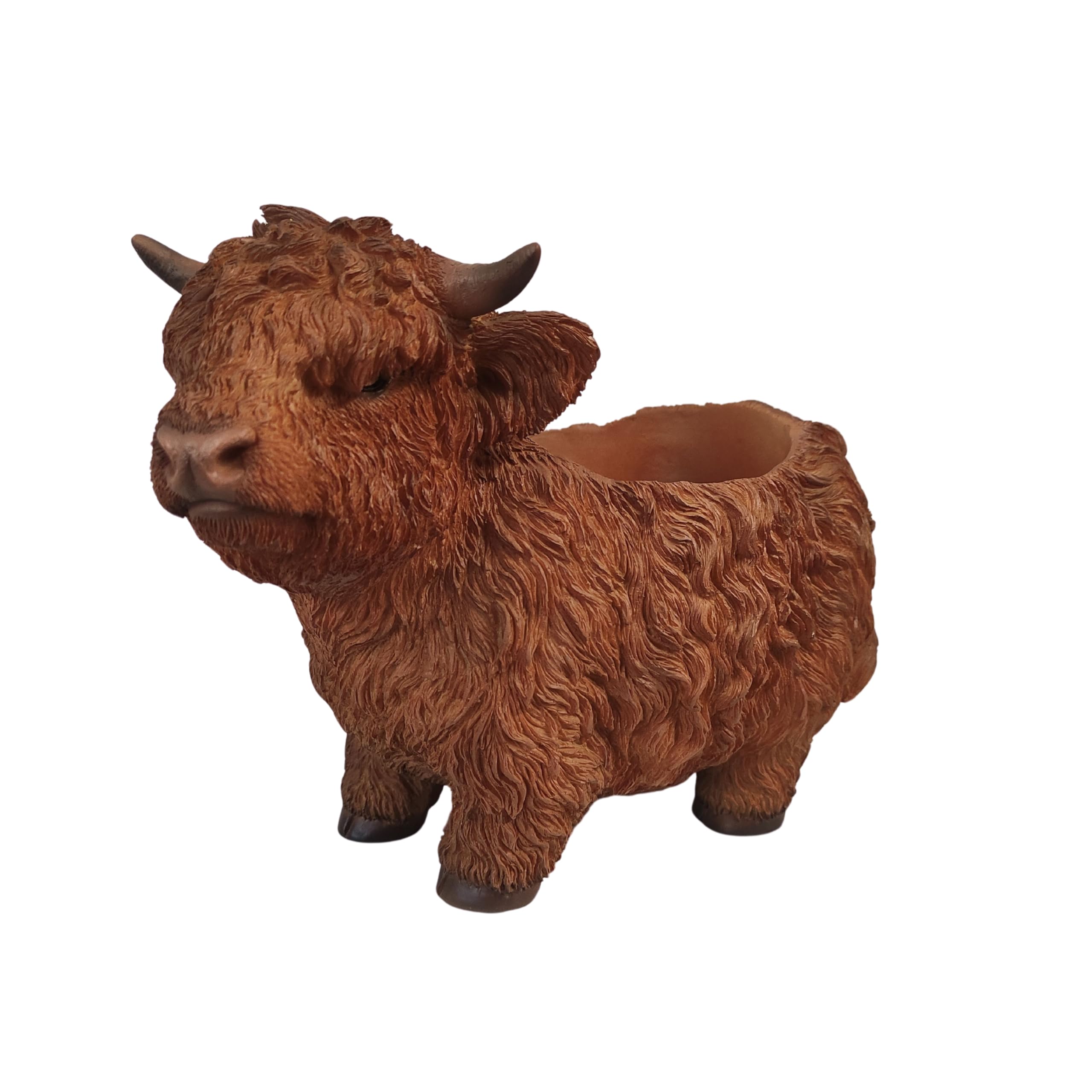 Vivid Arts - Highland Cow - Planter