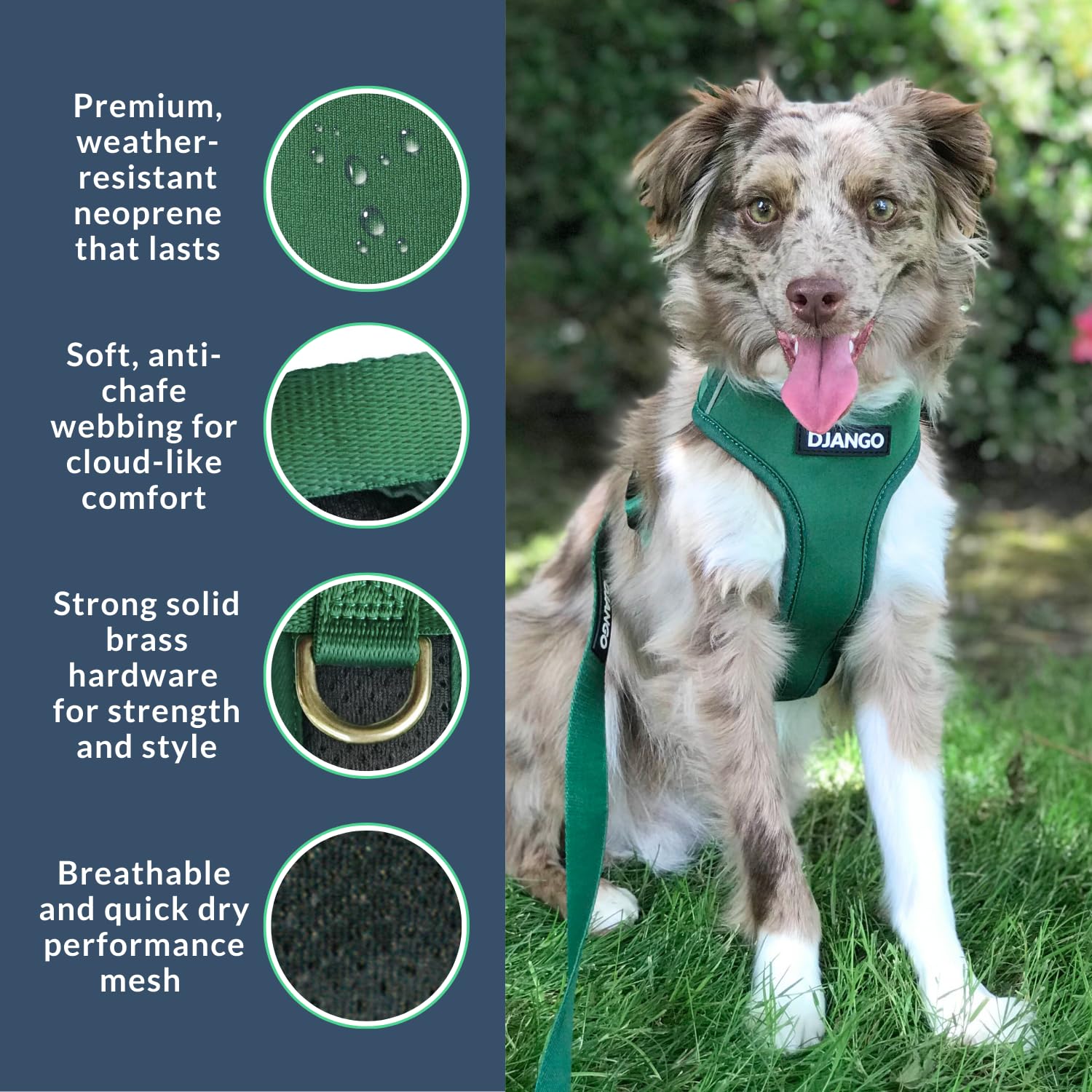 DJANGO Adventure Hundegeschirr - Bequemes, strapazierfähiges und reflektierendes Neopren Hundegeschirr für Outdoor-Abenteuer und Alltag - Verstellbares Design mit massiven Messingbeschlägen (Medium