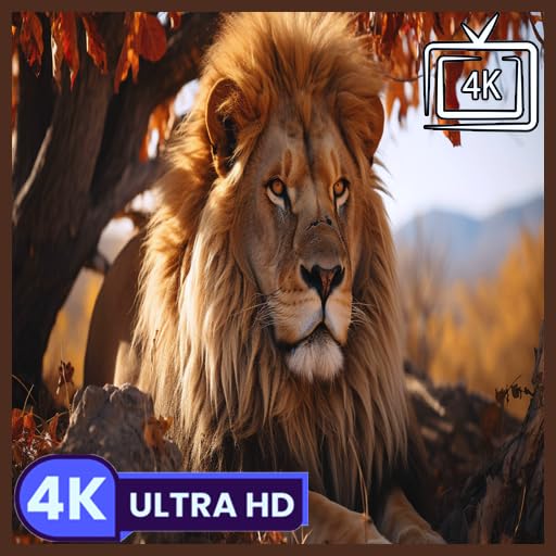 Le Roi Lion - Ambiance majestueuse de la savane africaine