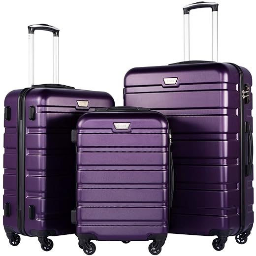 Coolife Luggage 3 Piece Set Suitcase Spinner Hardshell Lightweight TSA Lock (purple2)