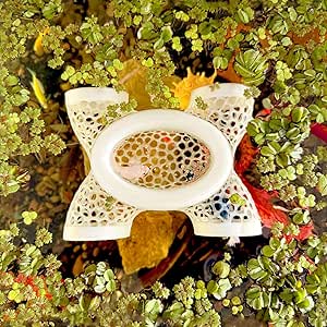 Amazon.com : Aquarium Floating Betta Fish Log, Hide Tunnel and Hammock ...