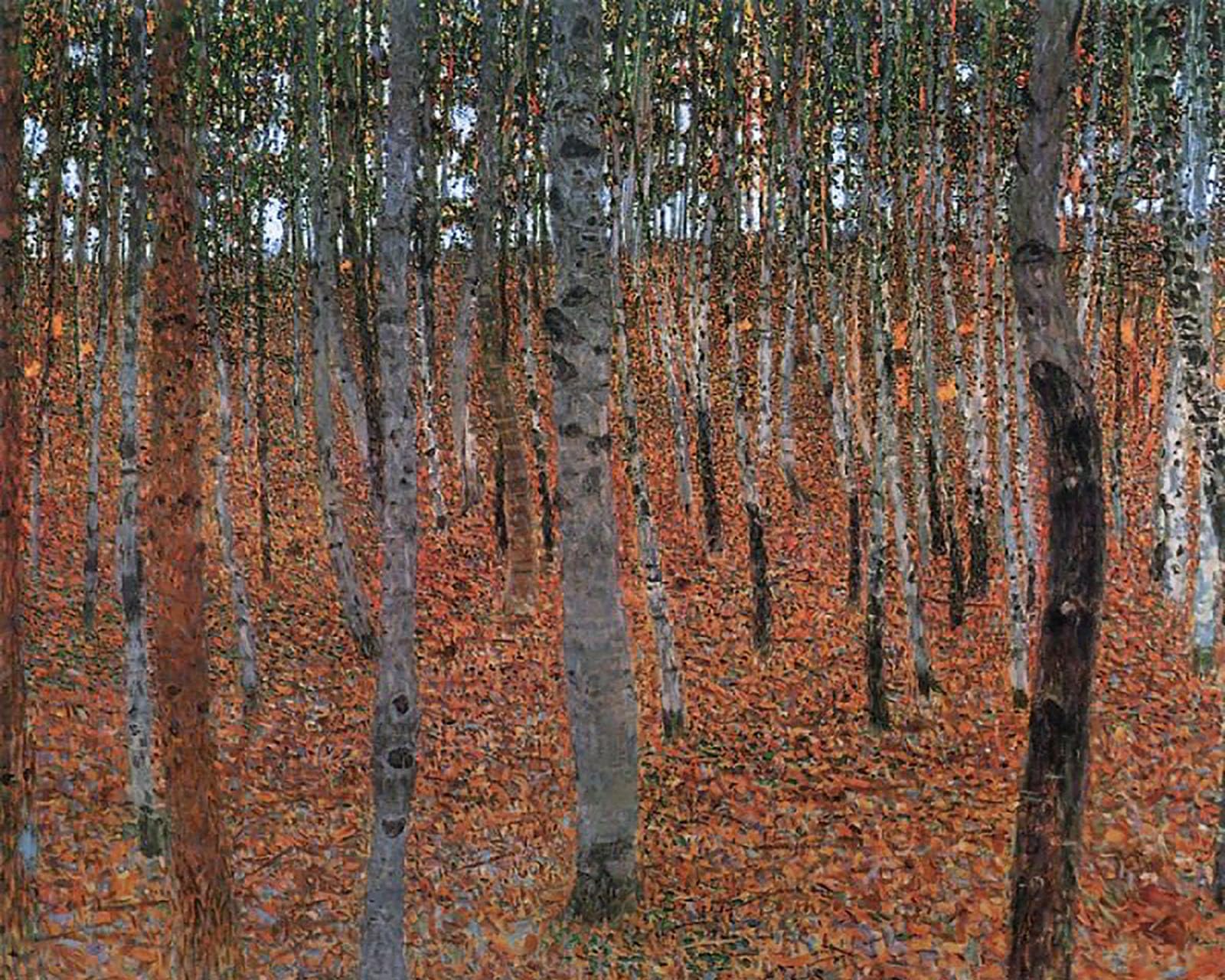 ZHXXFD Paint By Numbers for Adults Kids Beginners Landscape Famous Paintings with Frame 40X50CM Forest of Beech Trees - Gustav Klimt,C6