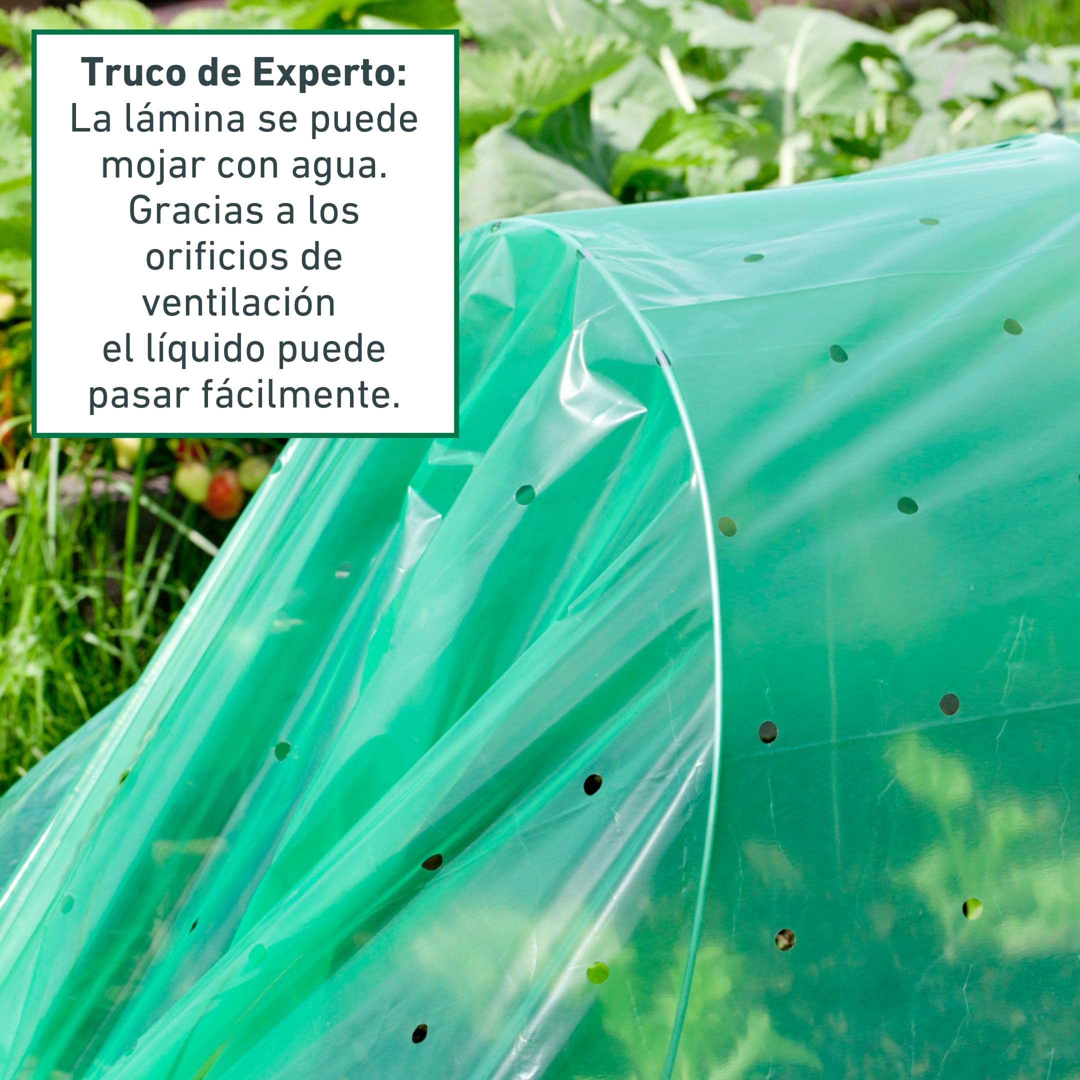 Windhager Túnel de Aluminio para Plantas, Marco frío, Juego Completo, 3,5 m x 1 m, Verde, 06378