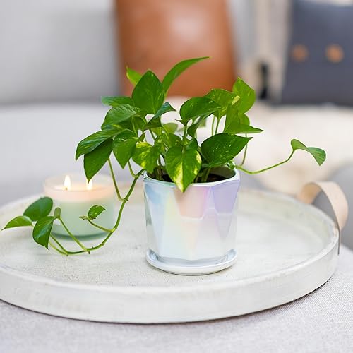Miniatura 4 de Coco Andrea Macetas pequeñas de cerámica blanca iridiscente para plantas de interior con agujeros de drenaje y platillos, 2 macetas para plantas de