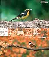 81B2RxGUicL._AC_SY200_QL15_.jpg