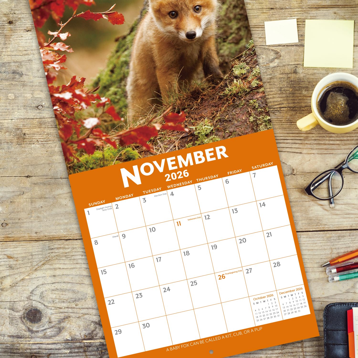 Kalendarz 2025-2026 - 18-miesięczny kalendarz ścienny dla małych zwierząt 2025-2026 od lipca 2025 do grudnia 2026, 30 x 30 cm, gruby i wytrzymały papier, 30 x 61 cm (otwarty), idealny kalendarz do