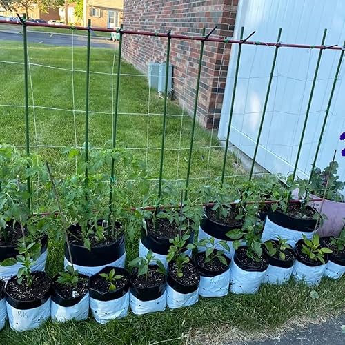 Miniatura 8 de YIDIE Estacas de jardín de metal 6 pies - 25 (0.630in-5 pies - 30)