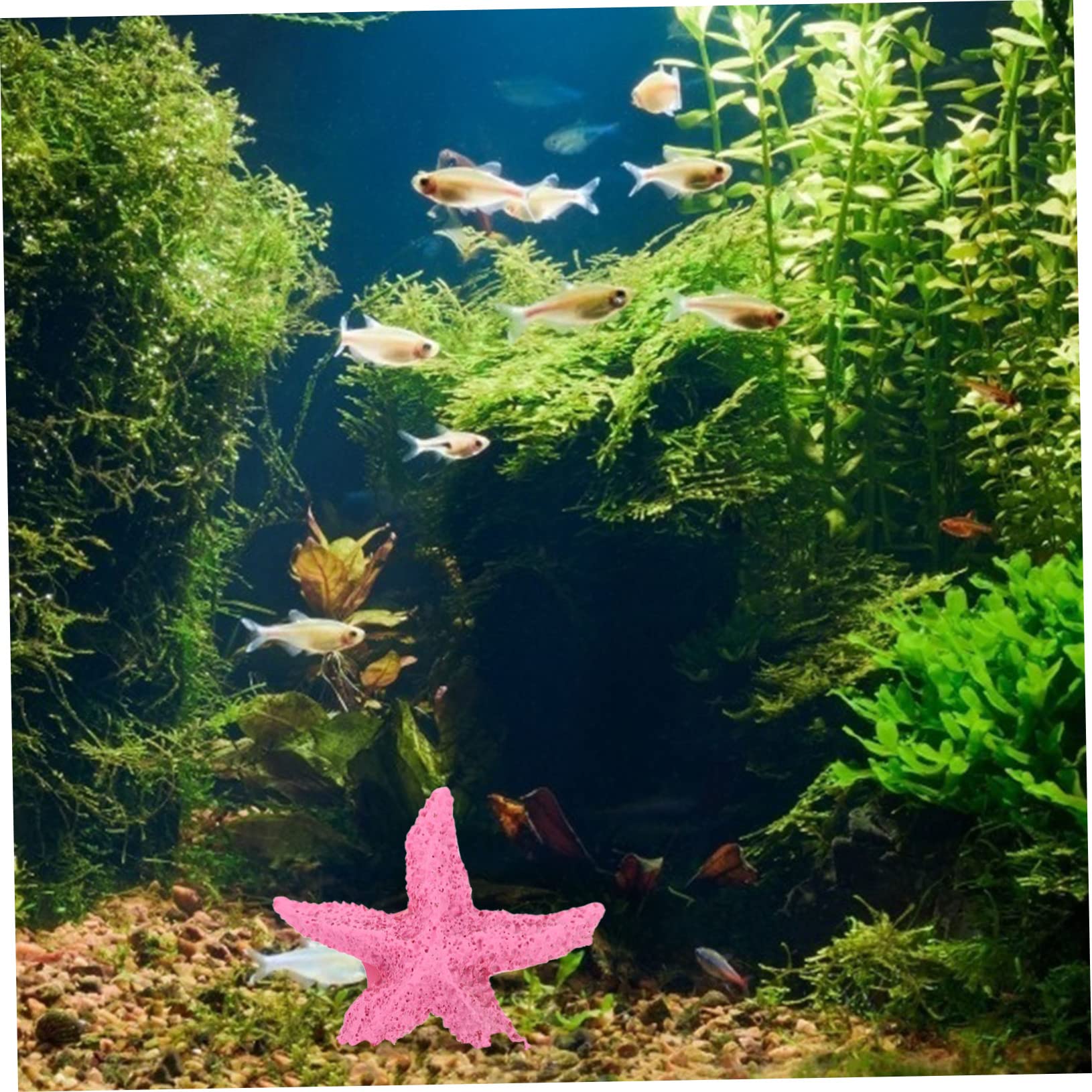 SEWOART Pink Decoration 2Pcs Resin Marine Ornaments for Fish Tank Aquarium Landscaping Home Decor, 7X7X1CM - Image 2