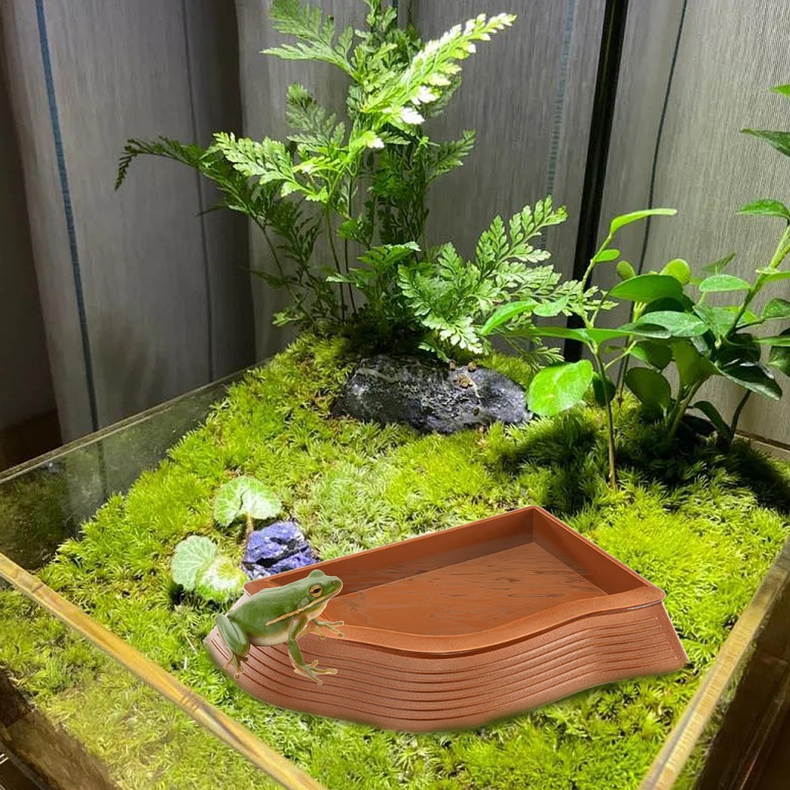 di Cibo per Tartaruga, d'acqua per Tartaruga | d'Acqua per Rettili | di Acqua di Tartaruga Multifunzionale, Piscina di Balneazione Tartaruga Piscina di Tarta