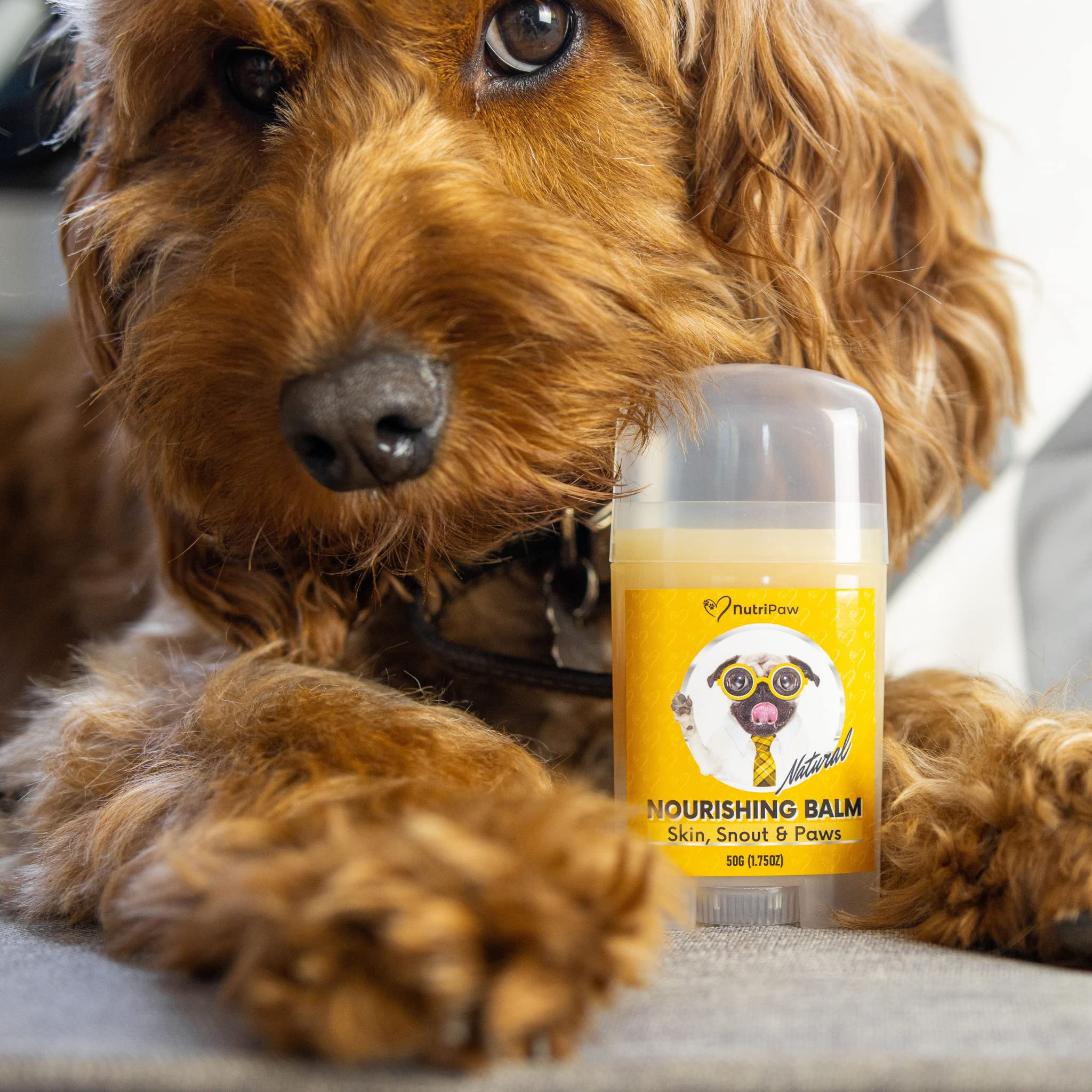 NutriPaw Nourishing Balm For Dogs & Cats, Moisturise & Soothe Dry, Cracked, Flakey Skin, Snout & Paws, Easy to apply - Image 4