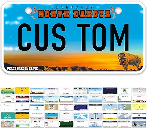 Miniatura 49 de Mini placas de matrícula, placas de matrícula personalizadas, personalizadas para automóvil, bicicletas, ATV, automóvil de niños, carrito de golf,