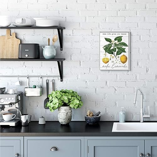 Miniatura 2 de Stupell Industries Life Gives Lemons Quote Country Fruit Anatomy, diseño de arte de pared enmarcado en gris con letras y líneas, 11 x 14, blanco roto