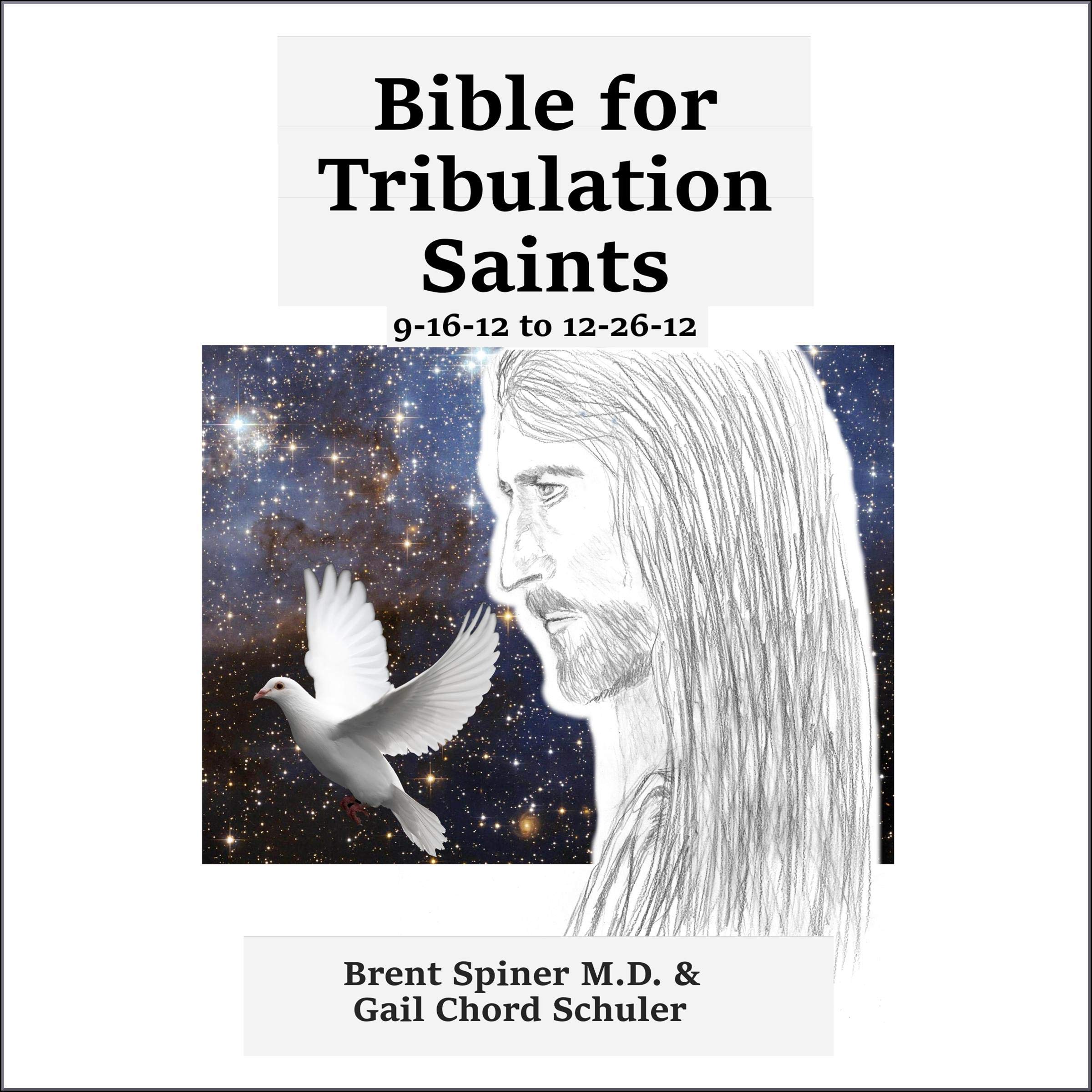 Bible for Tribulation Saints: 9-16-12 to 12-26-12
