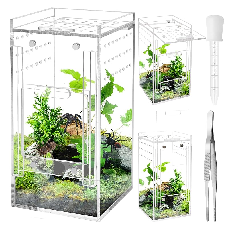 Terrário de Acrílico para Aranha Saltadora Windspeed com Portas Magnéticas e Ventilação, 7,62 x 7,62 x 15,24 cm