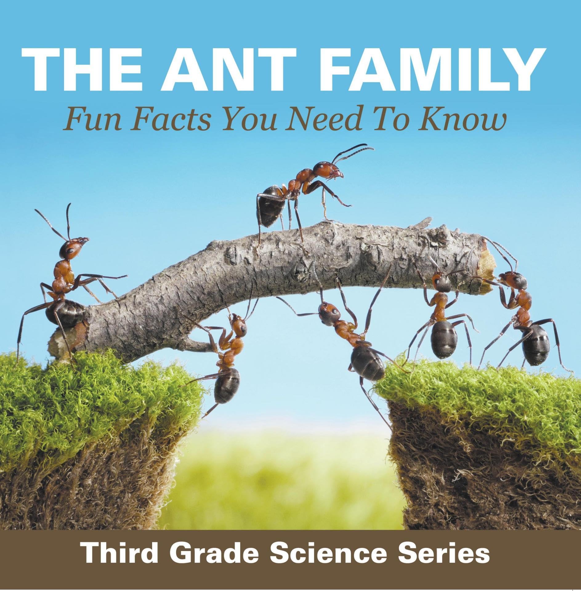 The Ant Family - Fun Facts You Need To Know : Third Grade Science Series: Ants for Kids - Habitats (Children's Zoology Books)