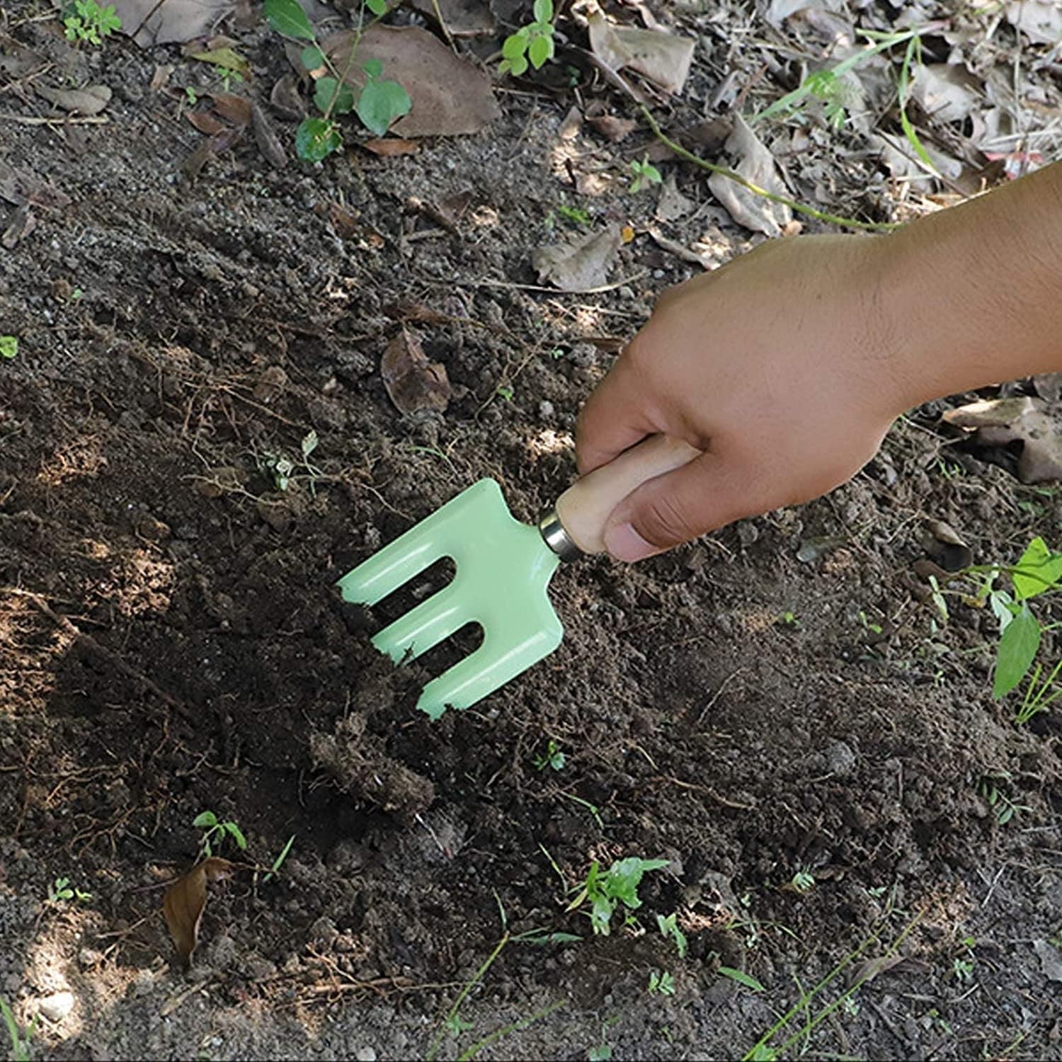 3 Pezzi Set di Attrezzi da Giardino, Kit di Piante Grasse per la Cura delle Piante, Kit di Alberi Bonsai Accessori per Piante Attrezzi Manuali per Giardinaggio Interno, per Fiori da Giardinaggio Domes
