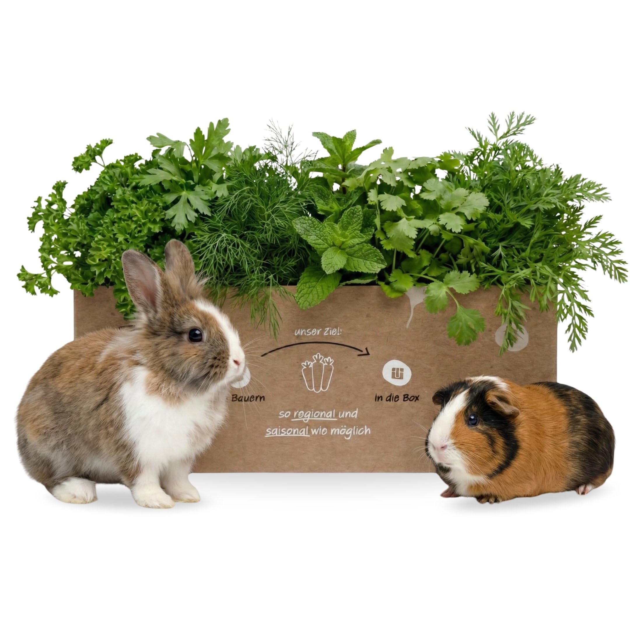 Mümmel-Mix Kleintierbox 5 kg - Knollenliebe Kräuter-Frischfutter | Aromatische Kräuterauswahl, natürlich frisch – für Kaninchen, Meerschweinchen & Co.