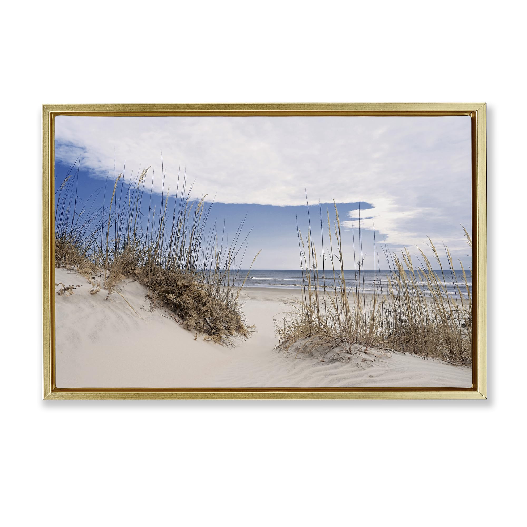 Stupell Industries 'Sea Oats Along Sandy Dunes', Floating Frame Canvas Art, Gold, 25 x 17 Inches, Easy to Hang and Sturdy, Made in USA, by Natalie Carpentieri