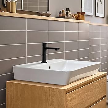 Amazon.com: hansgrohe Rebris E Single-Handle 1-Hole Bathroom Sink