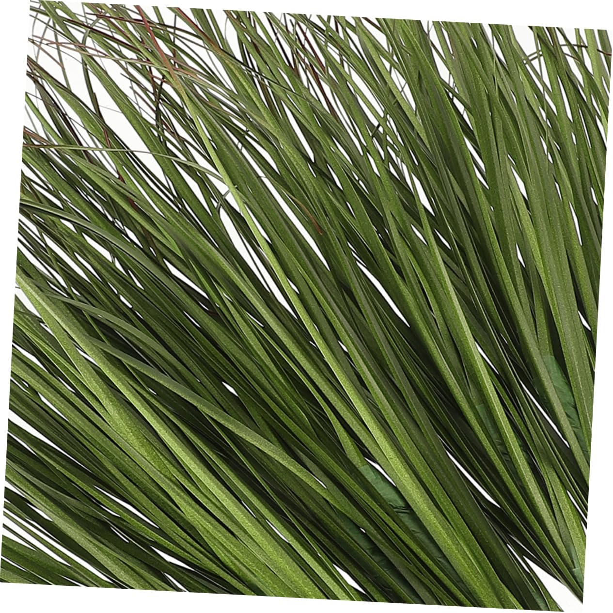 光触媒 人工観葉植物 ウォールグリーン フェイクグリーン オニオン