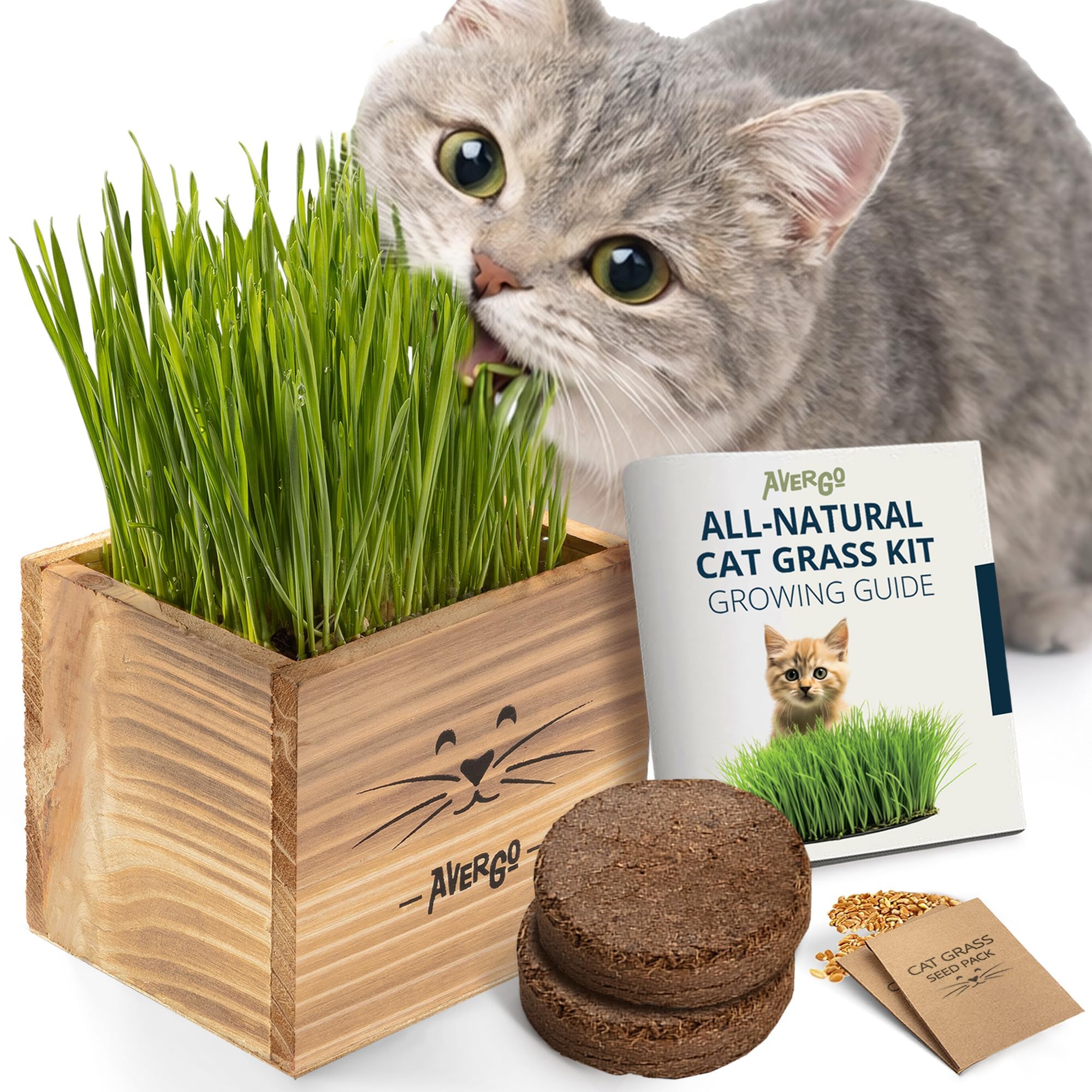 AVERGO Cat Grass Kit
