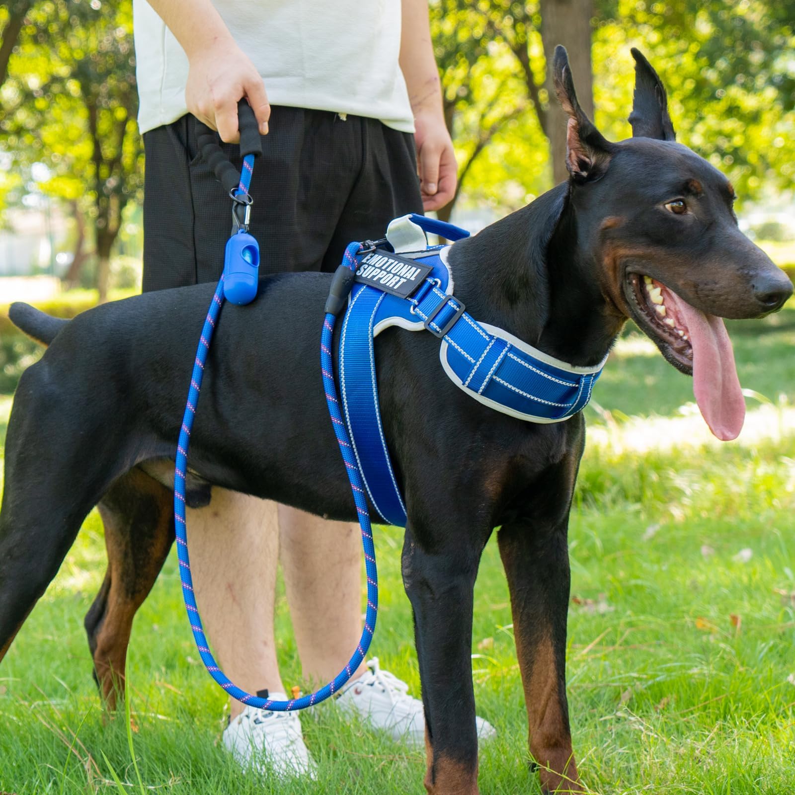 Neck Padded Service Dog Vest Harness and Leash Set, No Pull Adjustable Service Pet Harness with 8 Dog Patches, Reflective in Training Easy Control Pet Vest with 5ft Dog Leash for Medium & Large Dogs