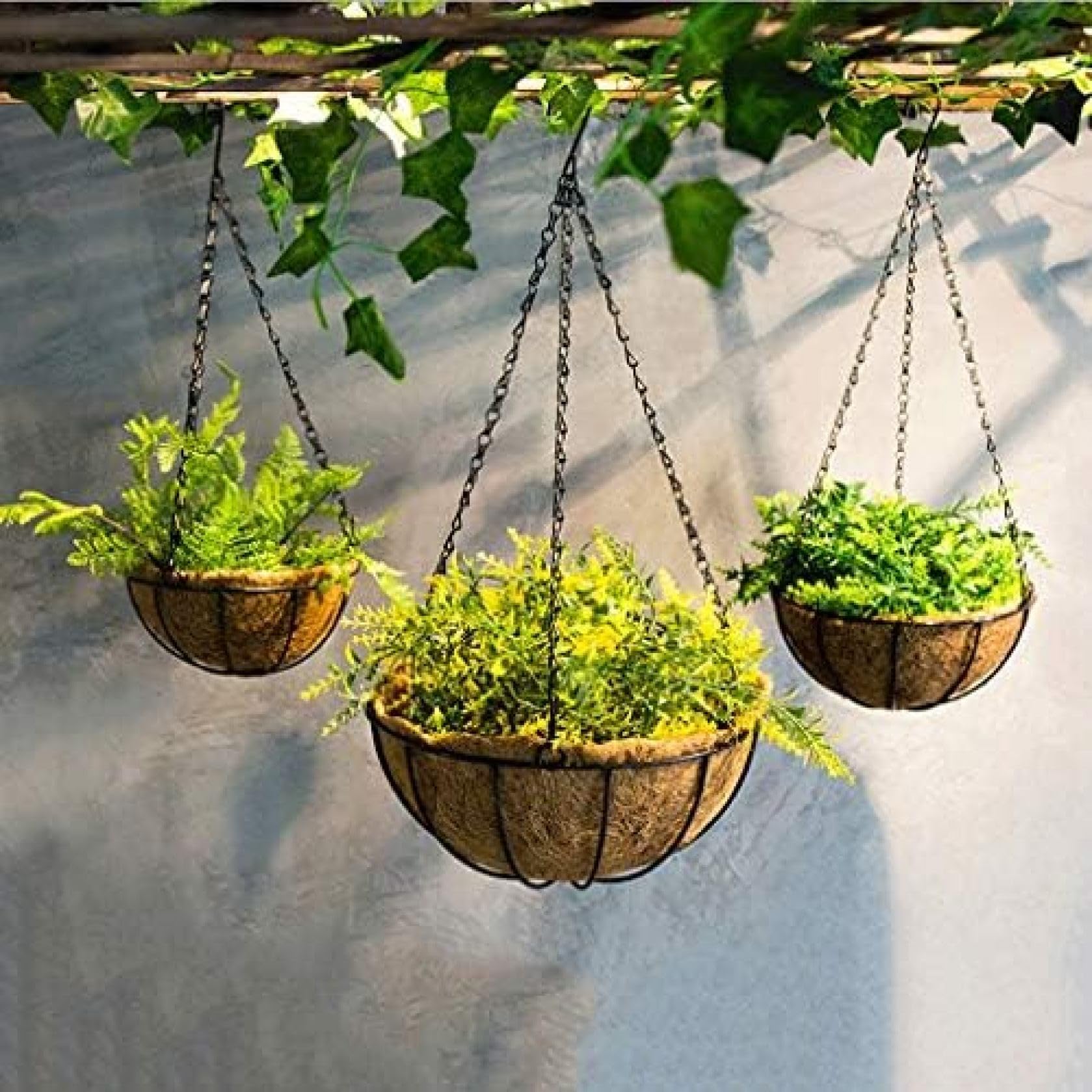 Amazon.co.jp: プランター、ハンギングバスケットをぶら下げ、ドライ