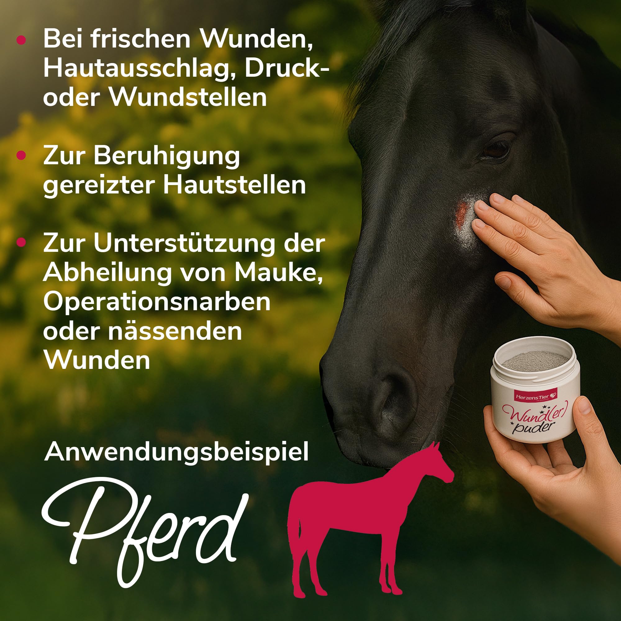 Wund(er) Puder 45g für Hund, Katze & Pferd - Trocknet nässende Wunden schnell, Hautberuhigend bei Verletzungen & Hautausschlag - Ideal für öffene Stellen