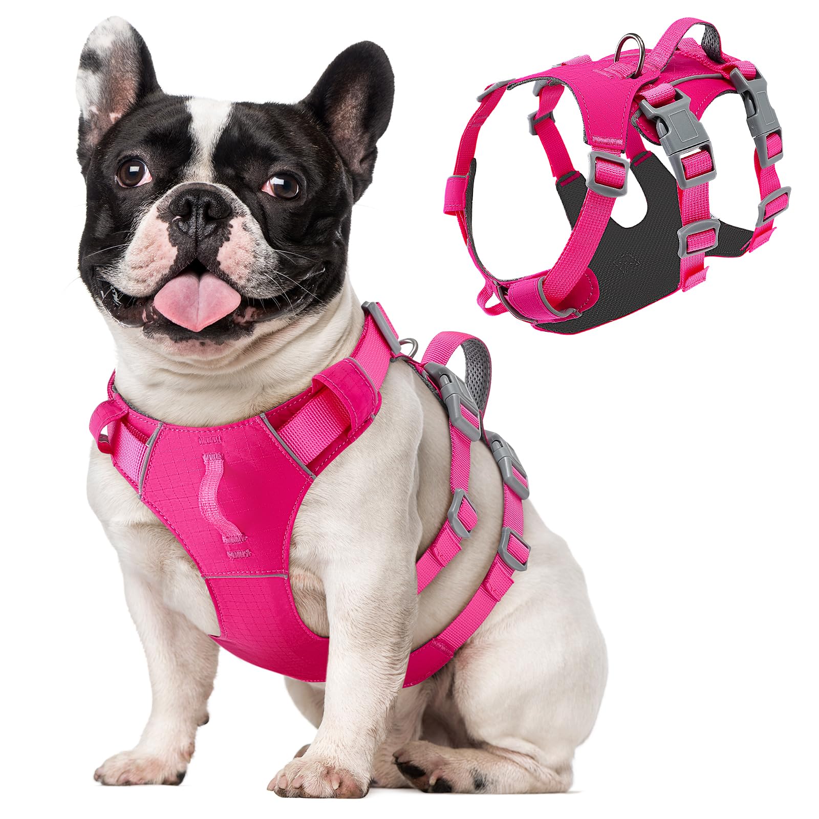 Eyein Escape Proof Dog Harness Small Medium Dog
