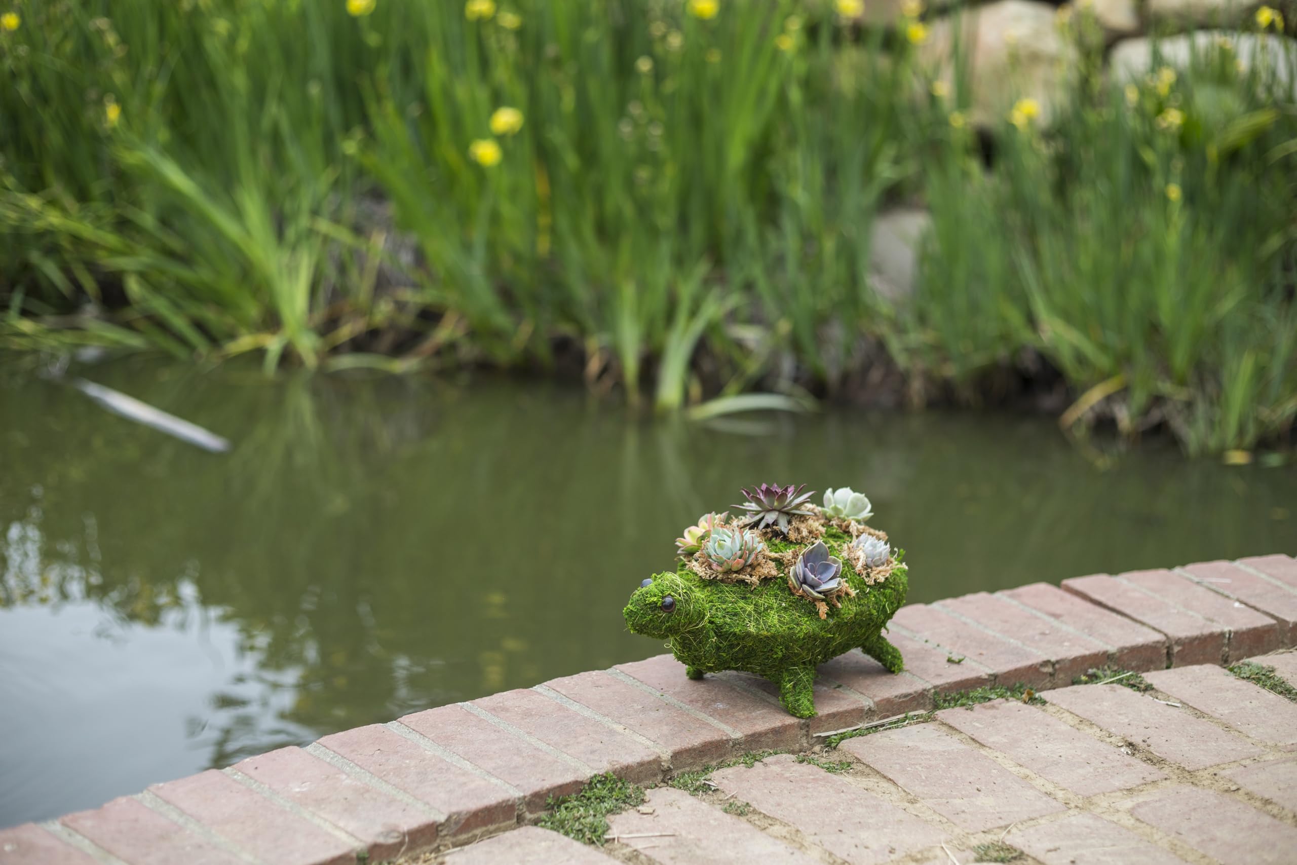 SuperMoss (55410) Decorative Moss Turtle Planter Perfect for Home Decor, Office Decor, and Indoor Plant Display, 15? x 7.5? x 6?, Fresh Green